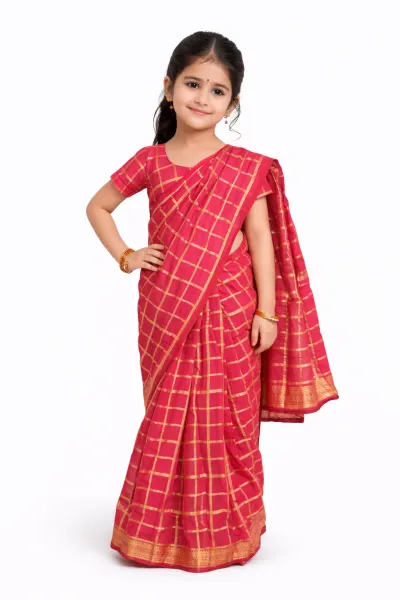 Pink saree Fancy Dress fancy dress costume