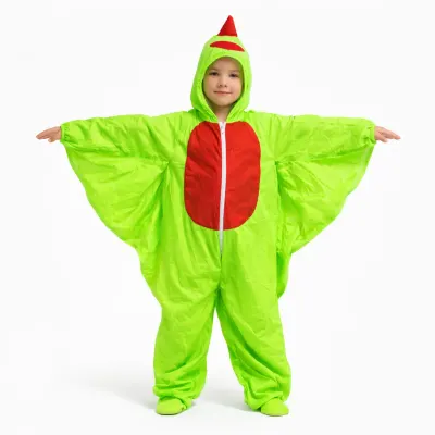 Parrot Fancy Dress – Bird Costumes, Mod Fancy Dress Delhi