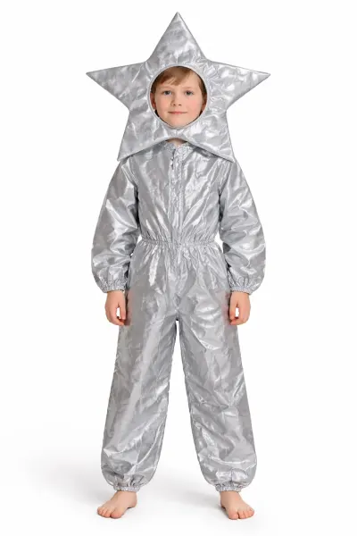Star fancy dress fancy dress costume
