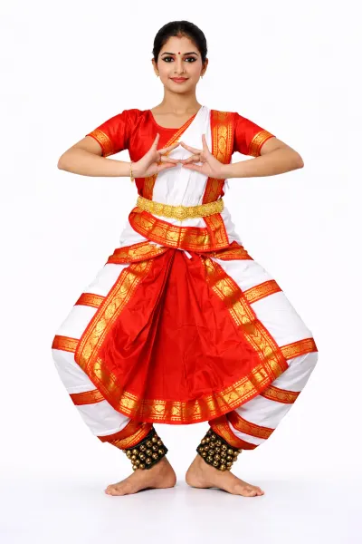 Bharatnatyam Fancy Dress for adults – Bharatnatyam, Mod Fancy Dress Delhi