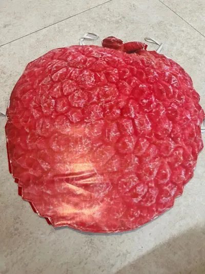 Raspberry costume board laid flat showing the drupelet print, green calyx and ribbon ties