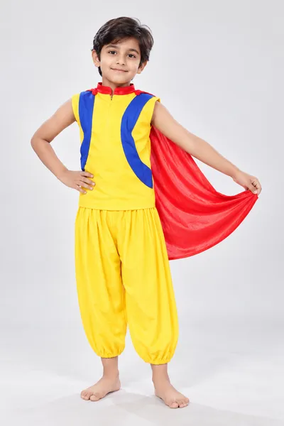 Balveer Fancy Dress Costumes fancy dress costume