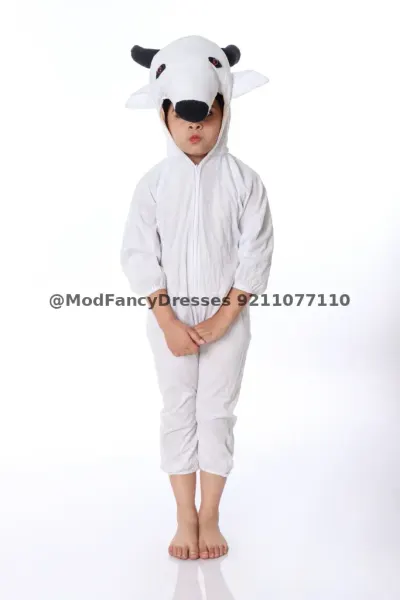 Costumes