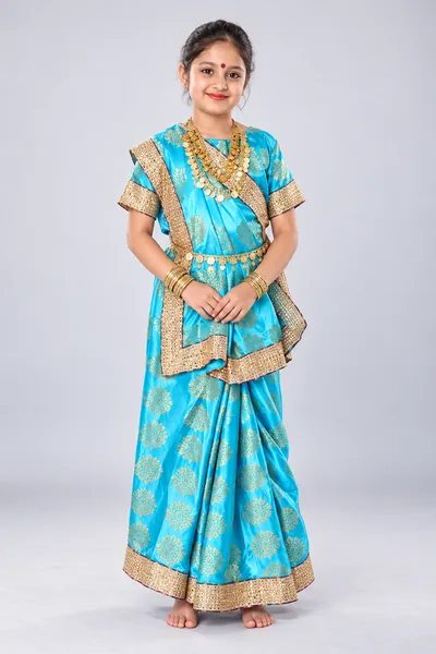 Indian Saree Fancy Dress Costume fancy dress costume