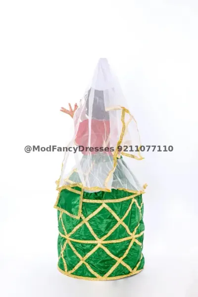 Manipuri Folk Dance Fancy Dress Costume – view 3, Manipuri Dance Costume, Mod Fancy Dress Delhi