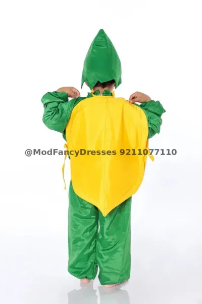 Papaya Fancy Dress Costumes – view 2, Fruit Costumes, Mod Fancy Dress Delhi