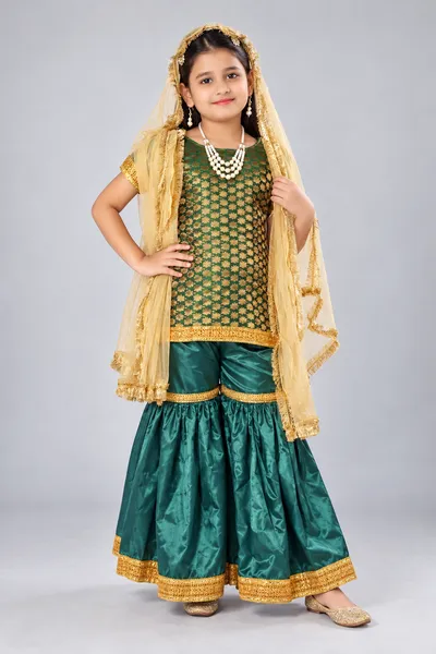 Sharara Dress Fancy Dress fancy dress costume
