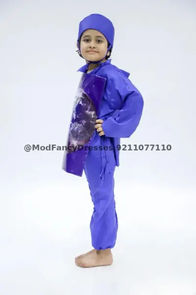 World Fancy Dress Costume fancy dress costume