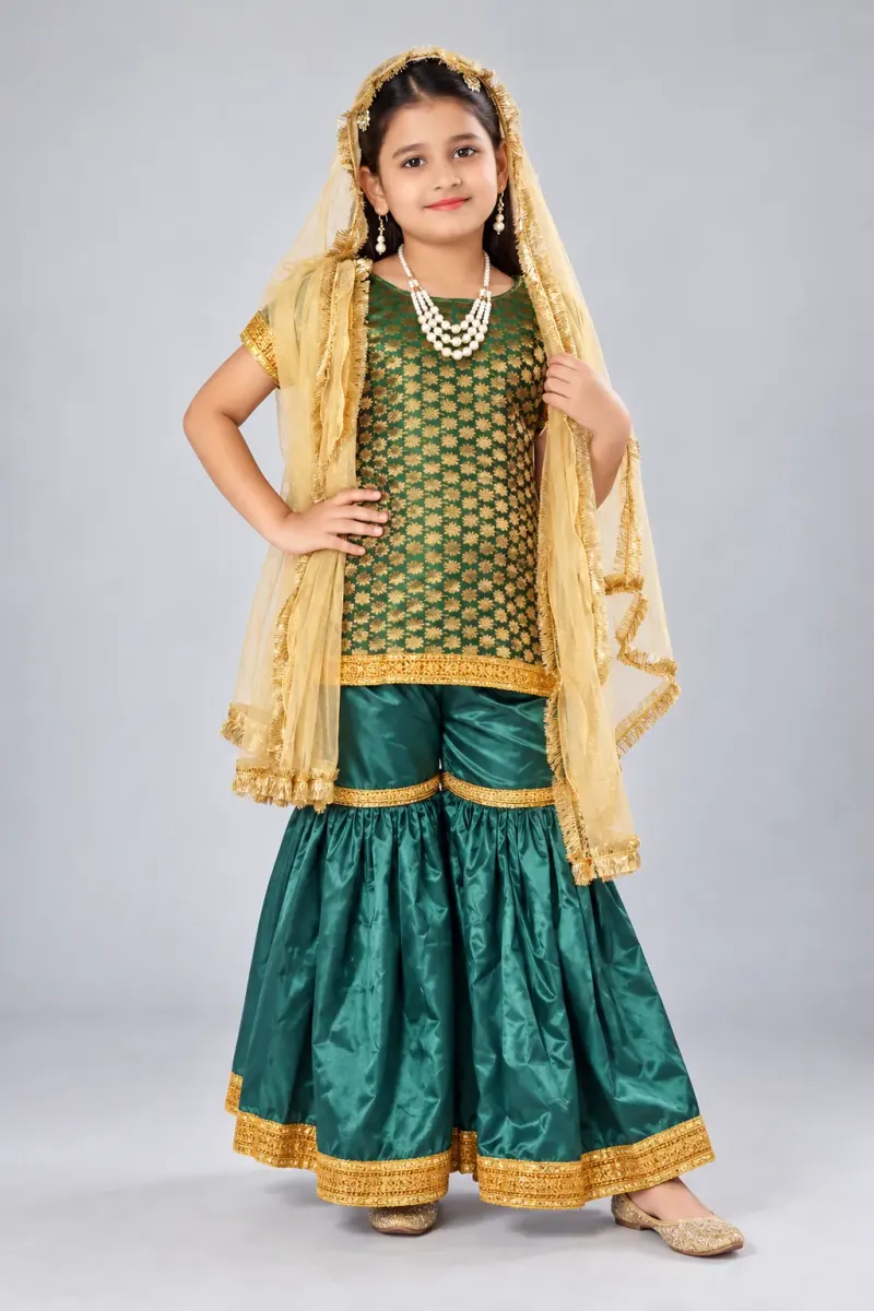 Sharara Dress Fancy Dress fancy dress costume