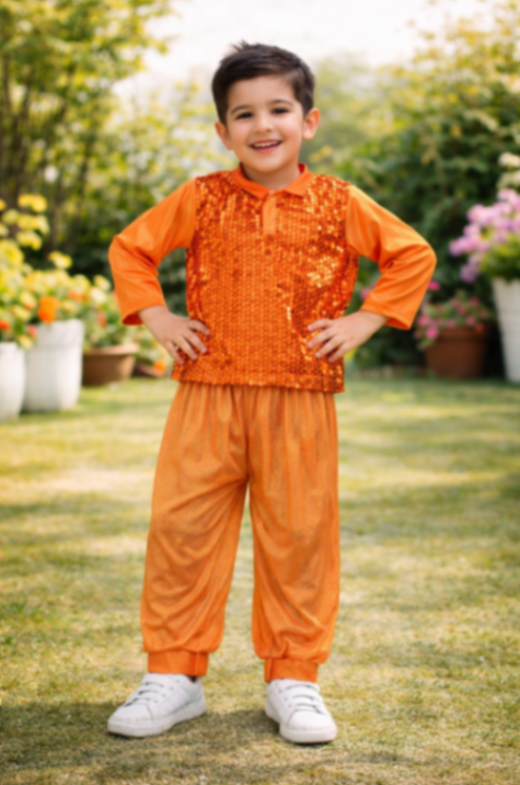 Orange Sequence Fancy Dress Main Image