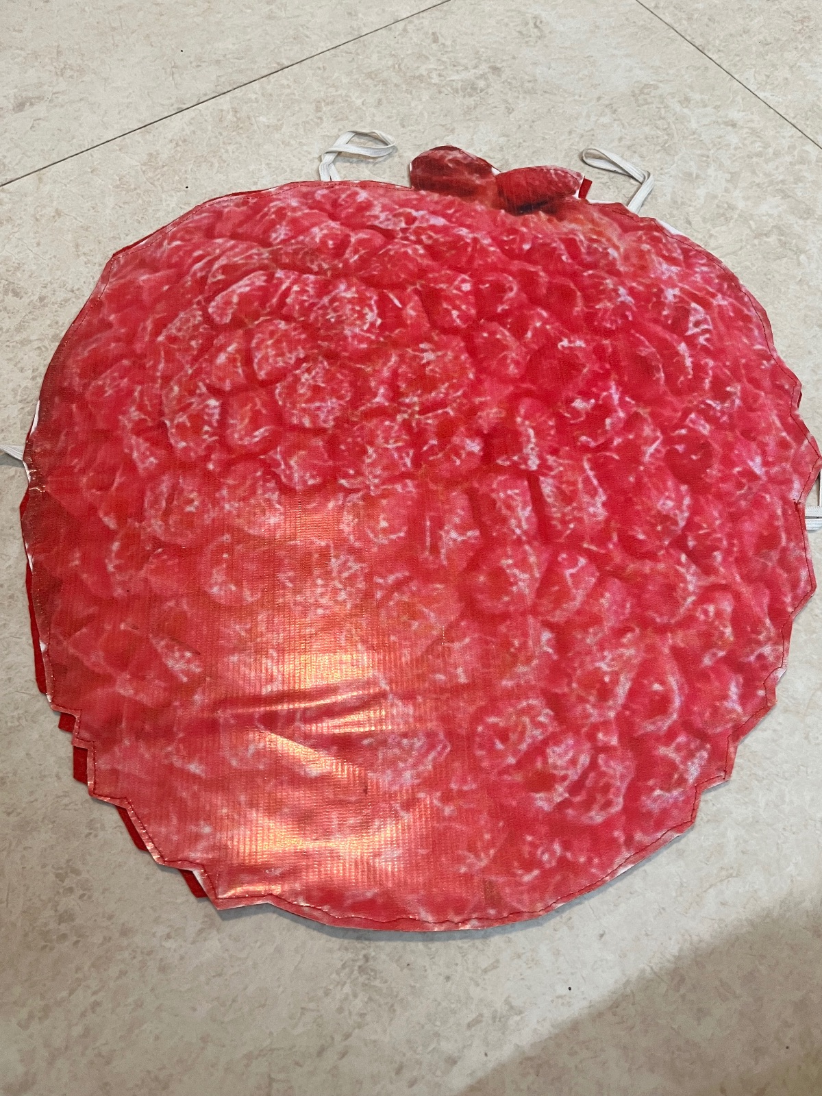 Raspberry Fancy Dress Thumbnail
