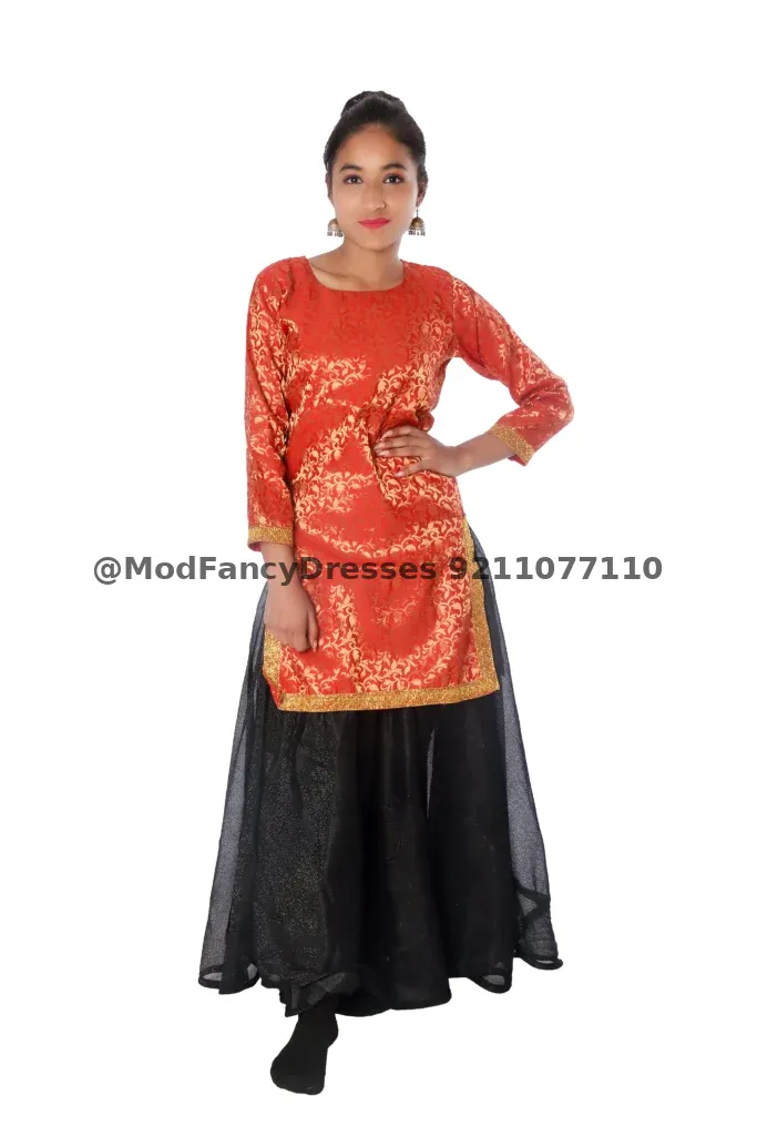 Contemporary And Indo Western Fancy Dress