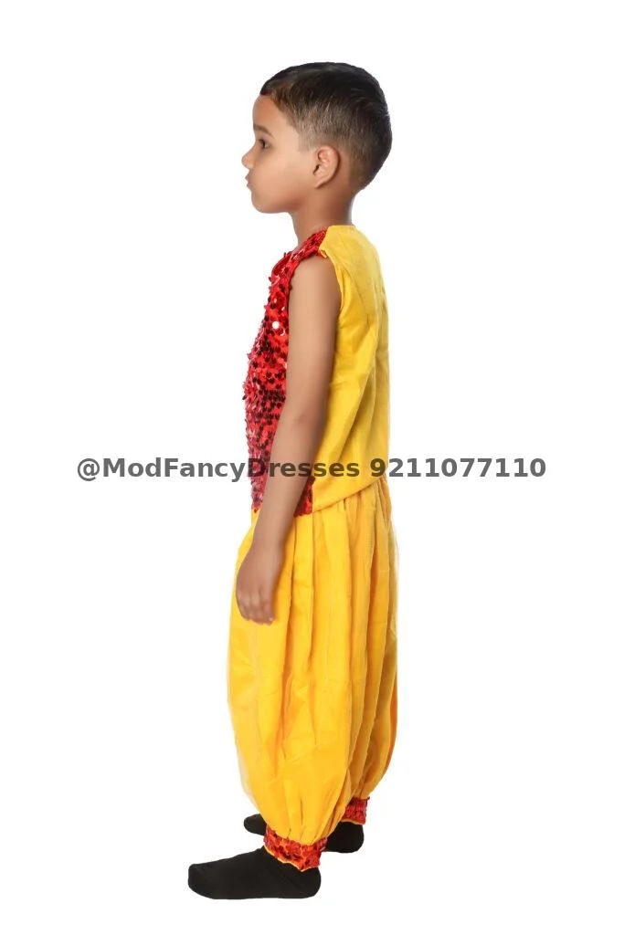 Harem Style Western Dance Fancy Dress Thumbnail