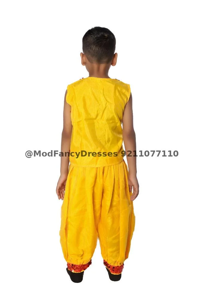 Harem Style Western Dance Fancy Dress Thumbnail