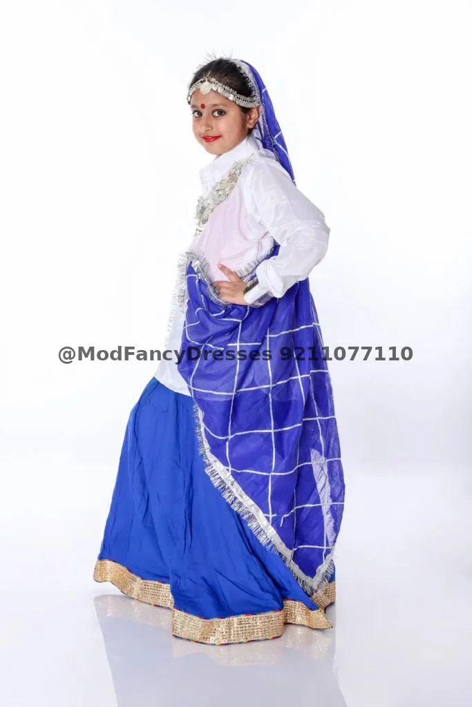 Haryanvi Dance Lehenga Fancy Dress Thumbnail