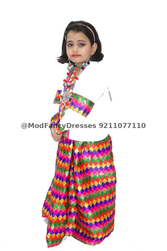 Indian Fancy Folk Dance Costume