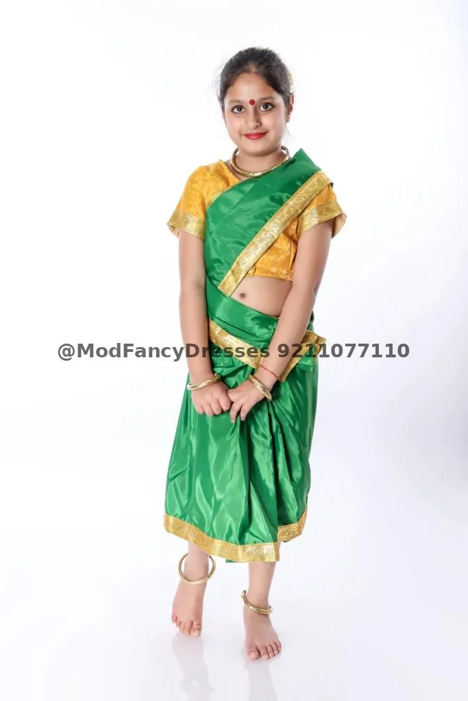 Indian Folk Saree Fancy Dress Costume Thumbnail
