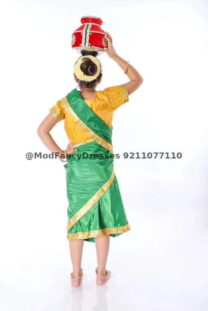 Indian Folk Saree Fancy Dress Costume Thumbnail