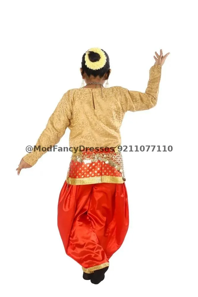 Indian Semi Classical Fancy Dress Costume Thumbnail