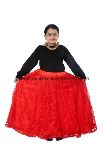 Indo Western Dance Fancy Dress Costume