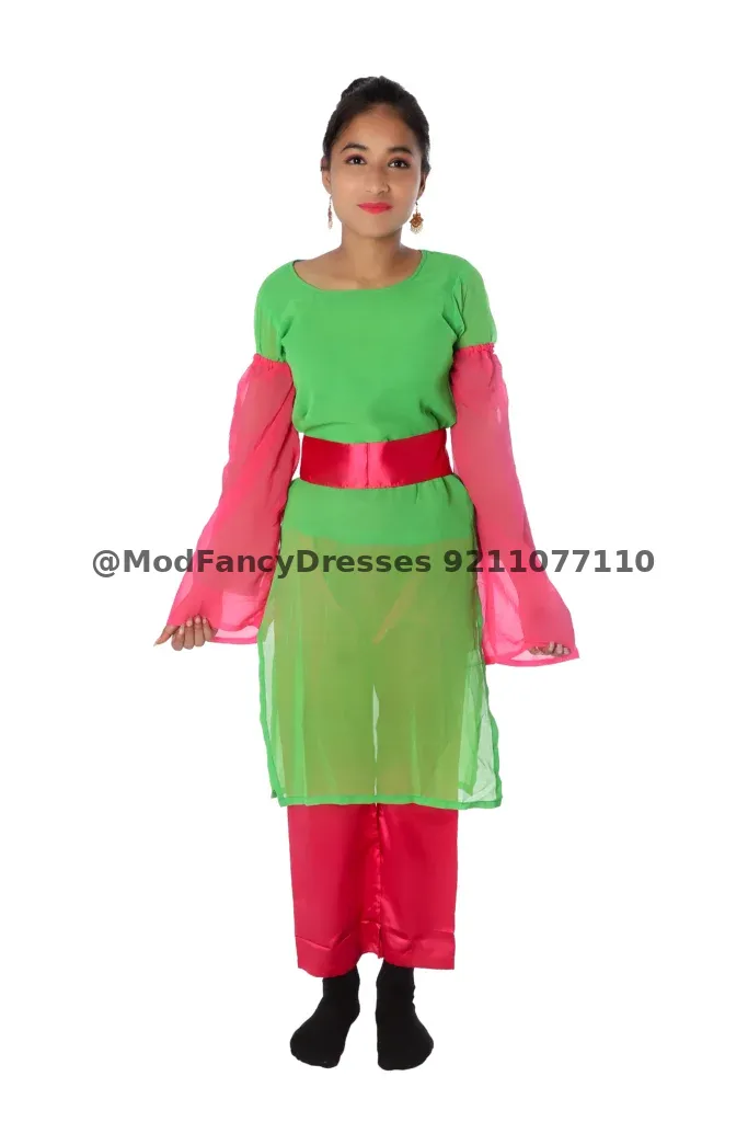 Indo Western Fancy Dress Costume Magenta Green