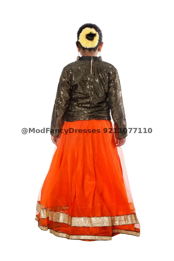 Indo Western Style Long Skirt Top Fancy Dress Thumbnail