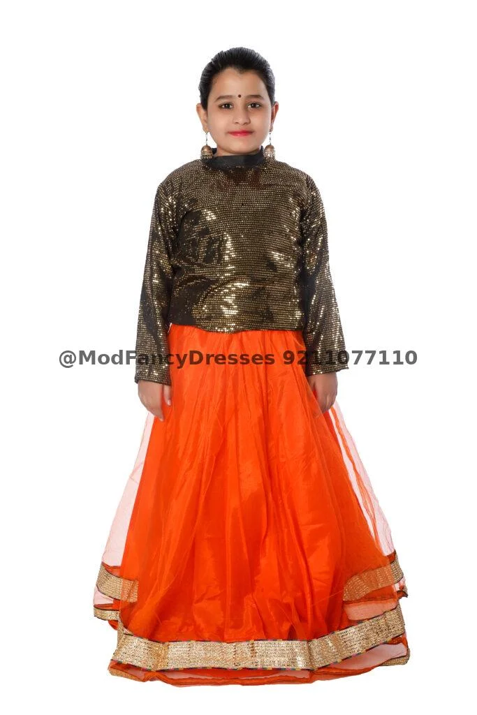 Indo Western Style Long Skirt Top Fancy Dress