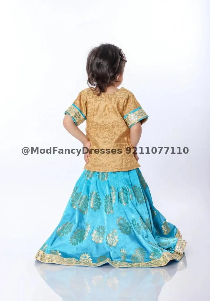 Kids Lehenga Fancy Dress Costume Thumbnail