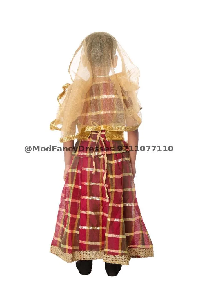 Lehenga Fancy Dress Costume For Girls Thumbnail