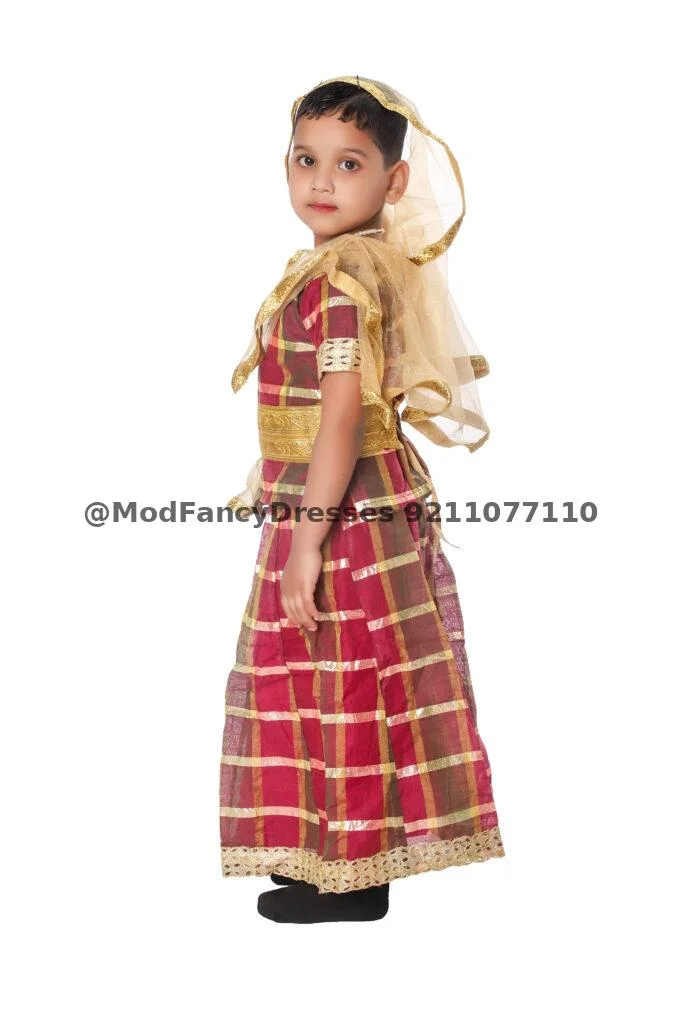 Lehenga Fancy Dress Costume For Girls Thumbnail