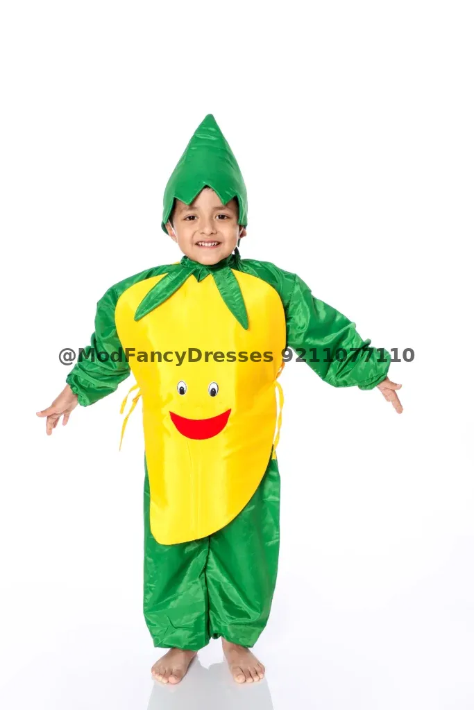 Mango Fancy Dress Costume
