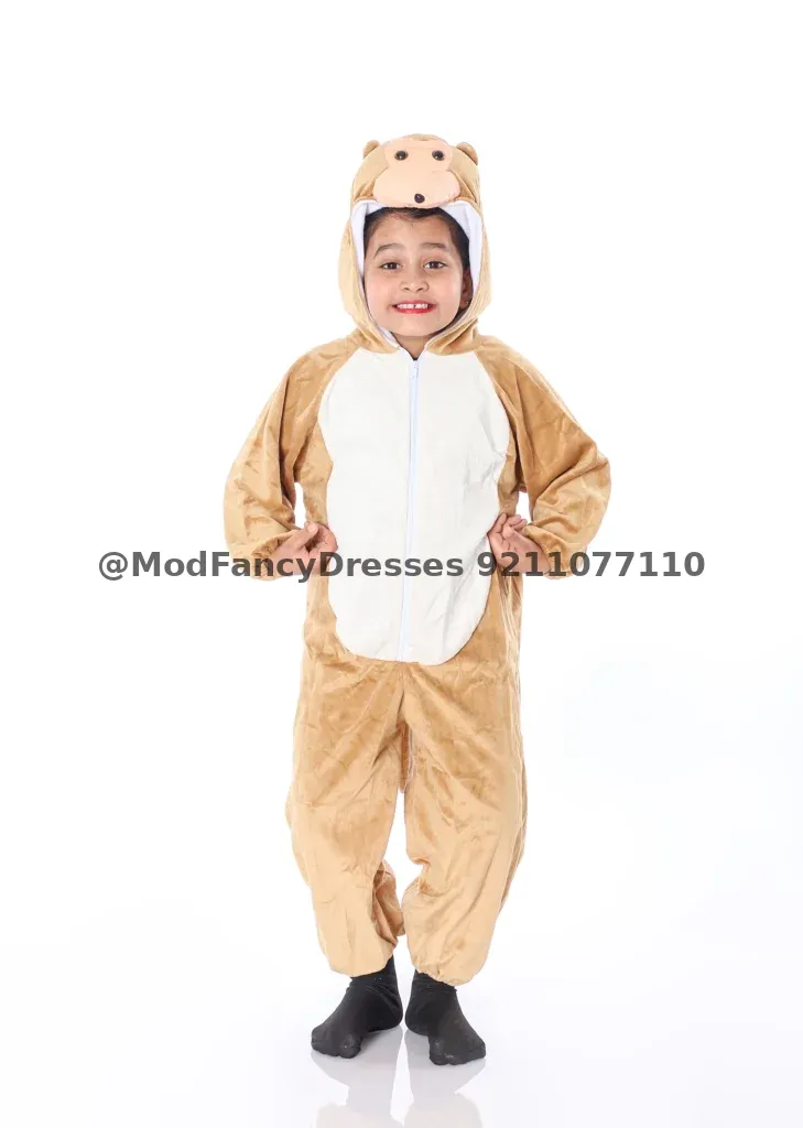 Monkey Animal Fancy Dress
