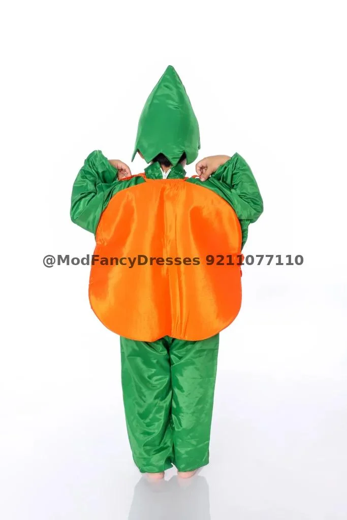 Orange Fancy Dress Costumes Thumbnail