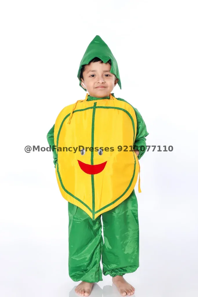 Papaya Fancy Dress Costumes
