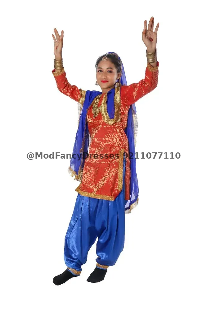 Punjabi Folk Dance Fancy Dress Costume