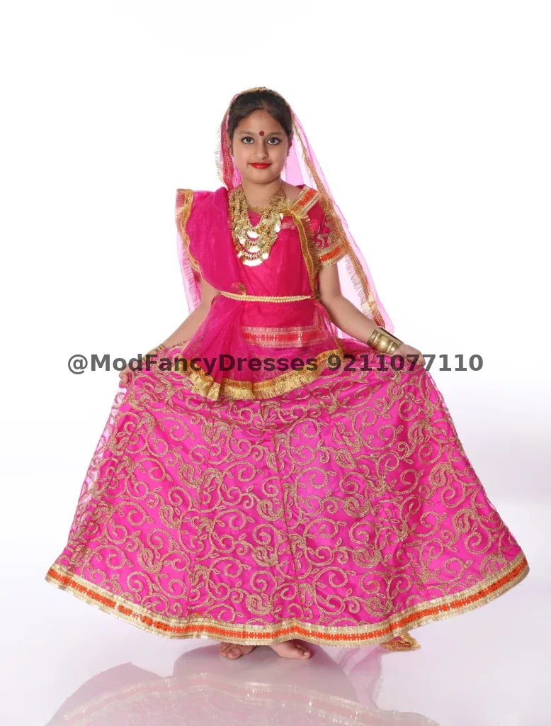Radha Rani Lehenga Choli Dress Pink