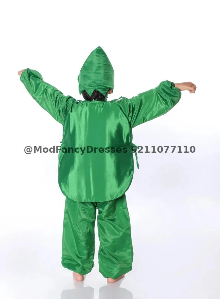 Watermelon Fancy Dress Costume Thumbnail