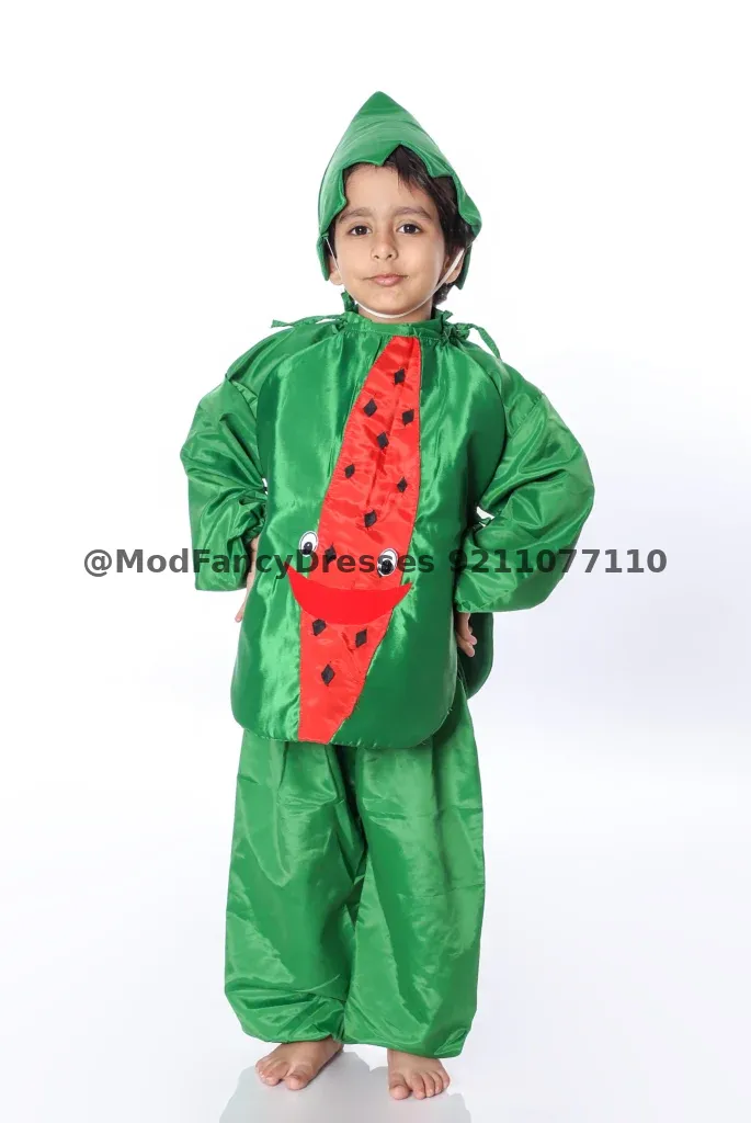 Watermelon Fancy Dress Costume