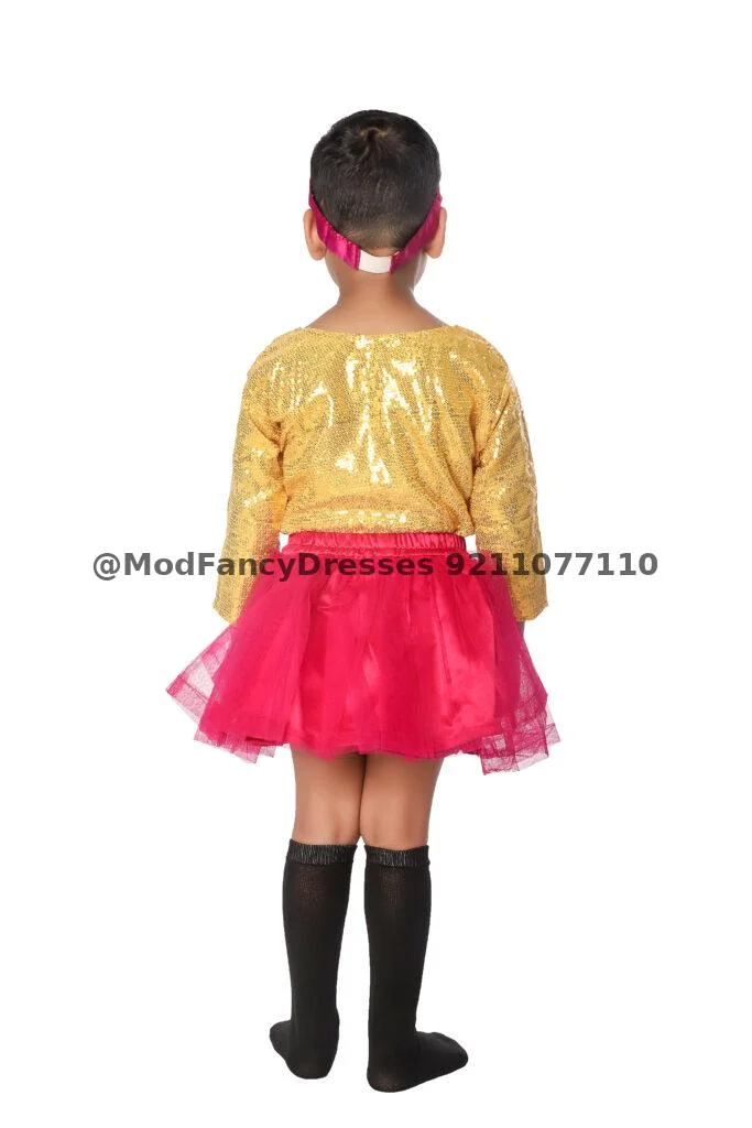Western Dance Skirt Top Fancy Dress Costume Thumbnail