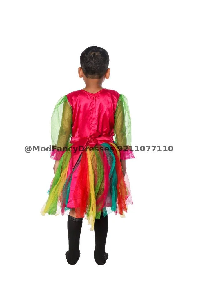 Western Style Frock Fancy Dress Costume Thumbnail