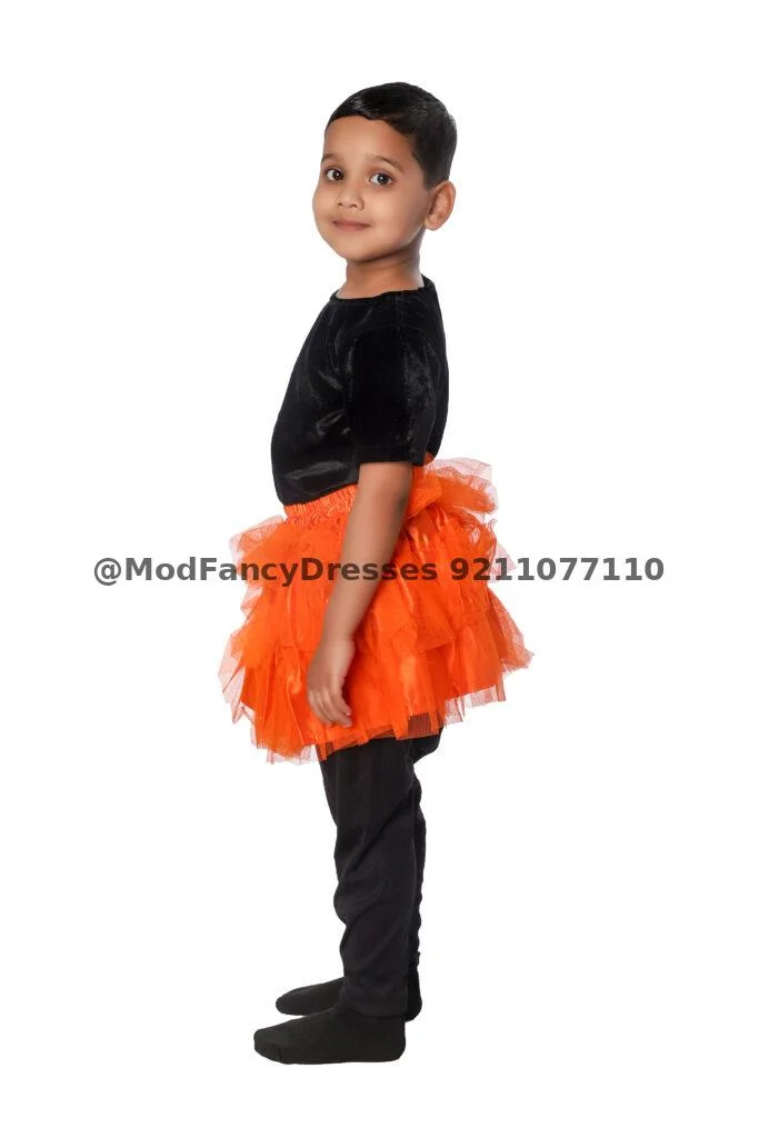 Western Style Skirt Top Fancy Dress Costume Thumbnail