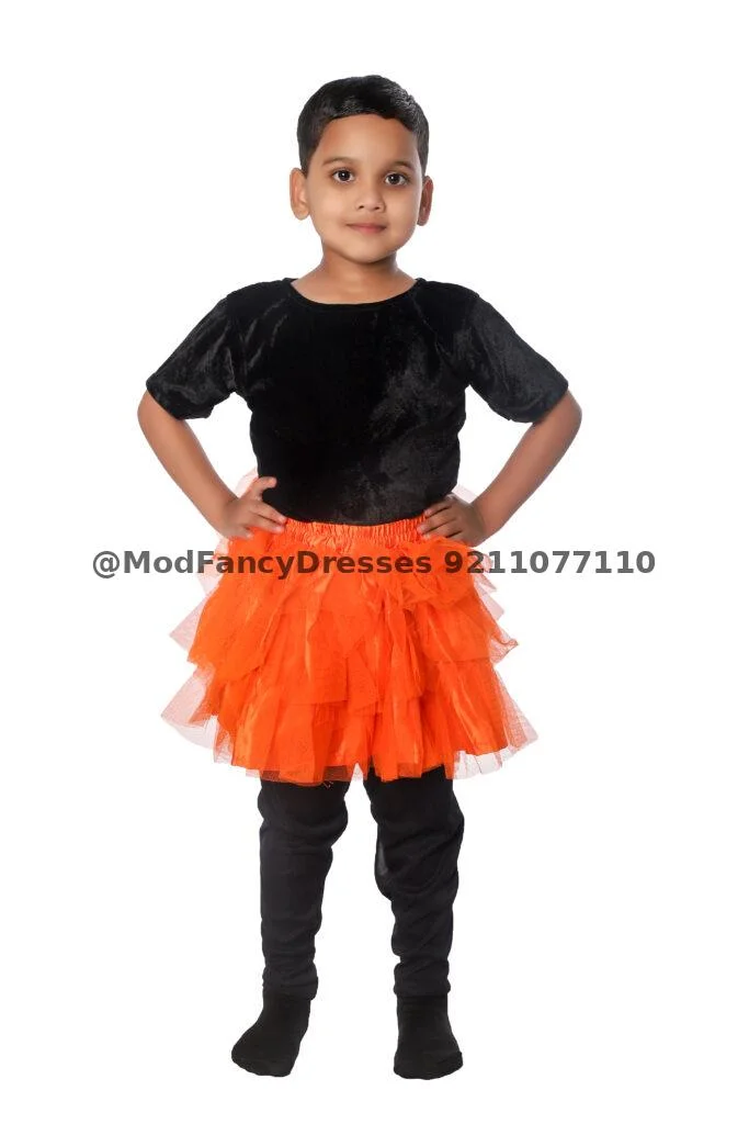Western Style Skirt Top Fancy Dress Costume