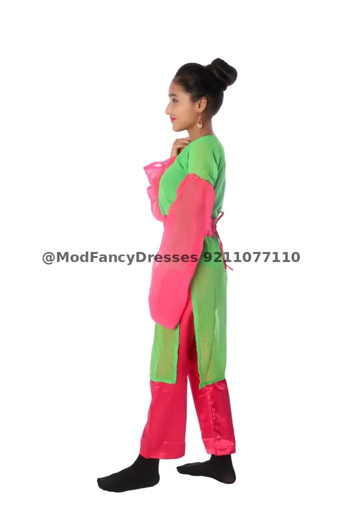 Indo Western Fancy Dress Costume Magenta Green Thumbnail