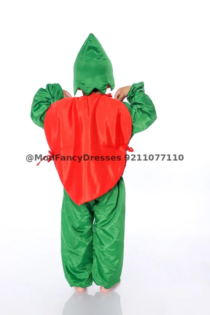 Lychee Fancy Dress Costumes Thumbnail