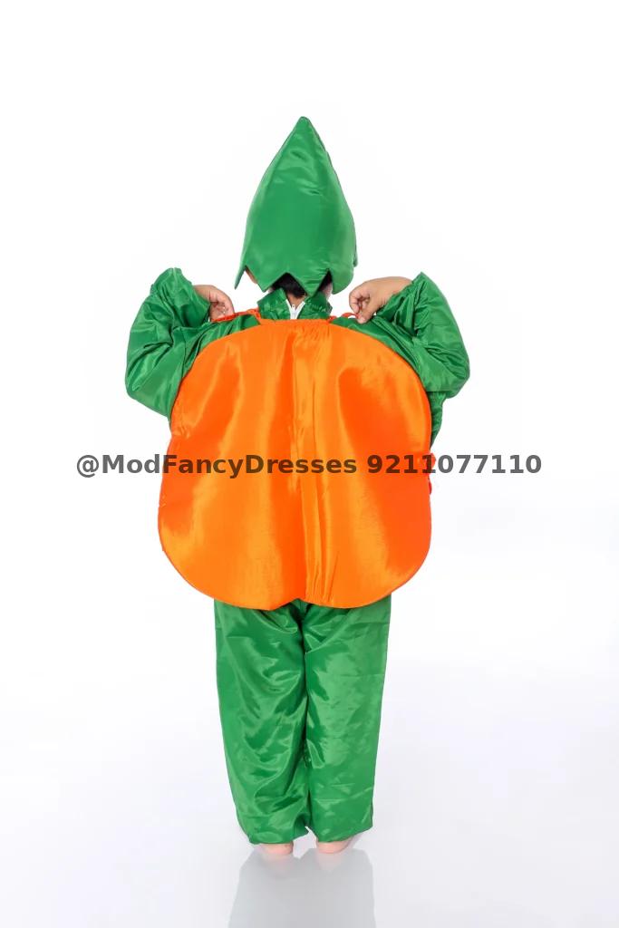 Orange Fancy Dress Costumes Thumbnail