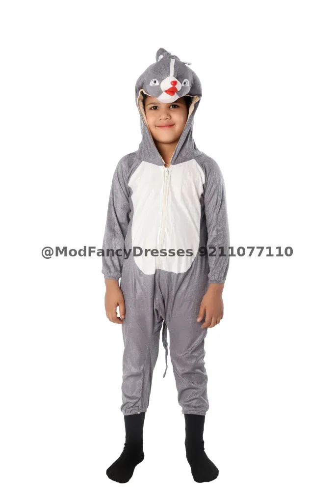 Penguin Fancy Dresss Costume For Kids