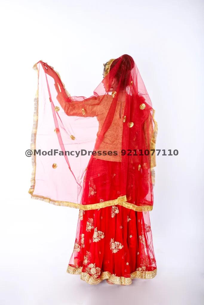 Radha Dress Lehenga Choli Costume Thumbnail