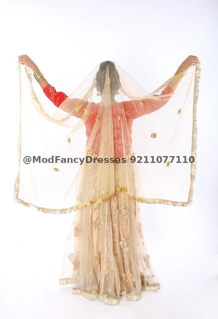 Radha Rani Dress Lehenga Choli Thumbnail