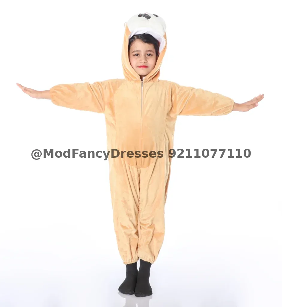 Squirrel Fancy Dress Animal Costume For Kids