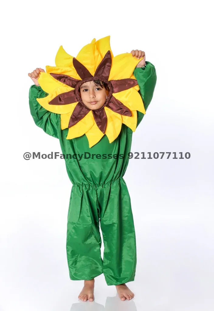 Sun Flower Fancy Dress Costume